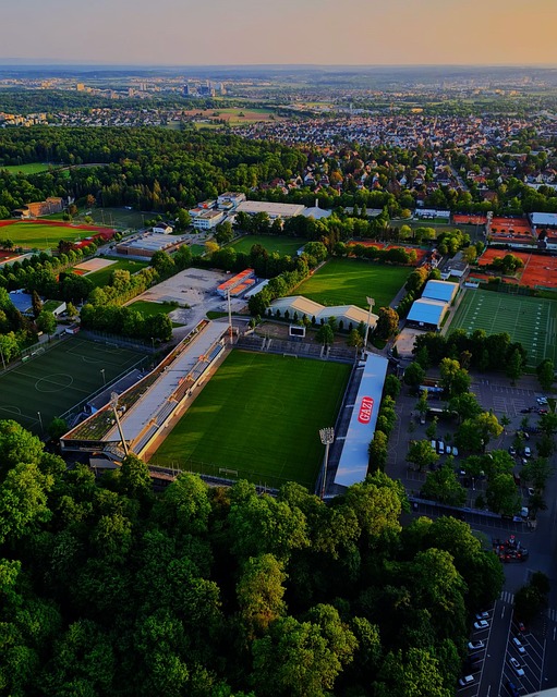 使得这支球 使得这支球