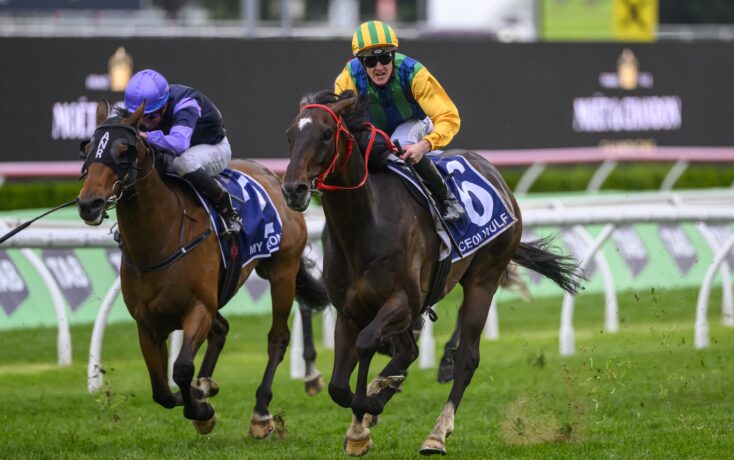 样的球队 样的球队