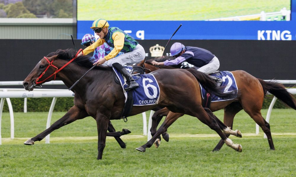 球队在关键 球队在关键